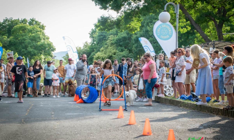 Кучешка фиеста на Summer Dog Fest ’25  в Царево 