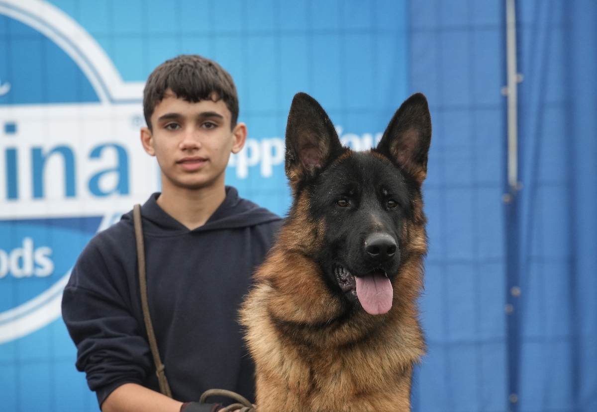Младежи от Община Марица блестят на изложба за немско овчарско куче в Калековец 