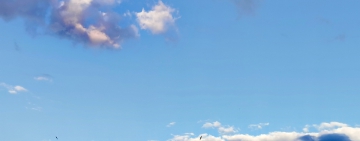 Слънчева сряда 