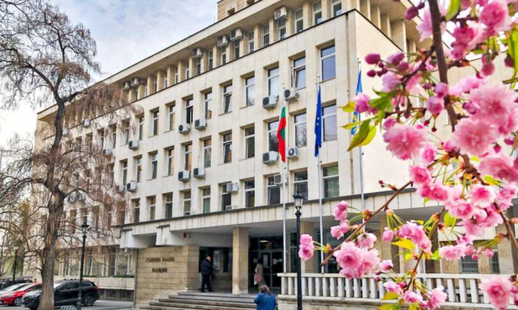 Предадоха на съд жена, обвинена за убийство в Пловдив