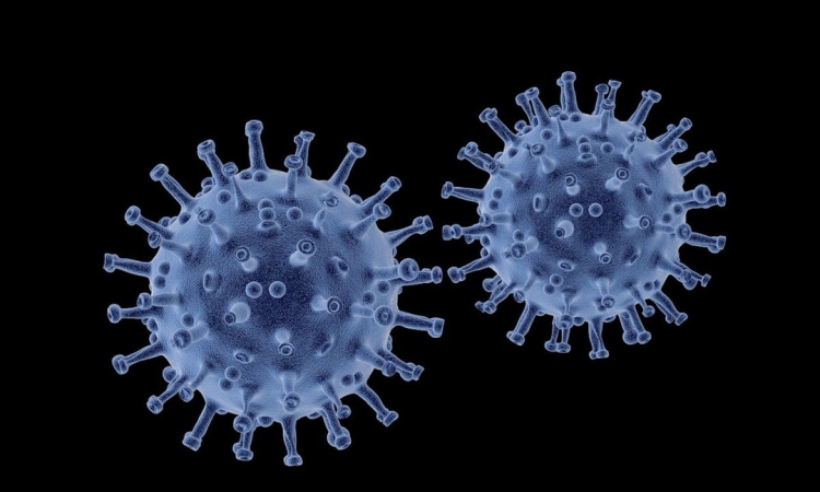 Мъж от Вашнгтон е „тежко болен“ с вирус, невиждан досега при хора