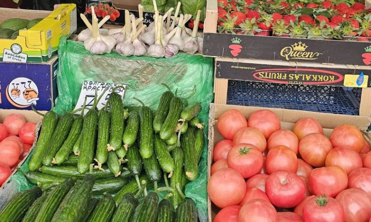 С над 17% поскъпват доматите и краставиците на борсите