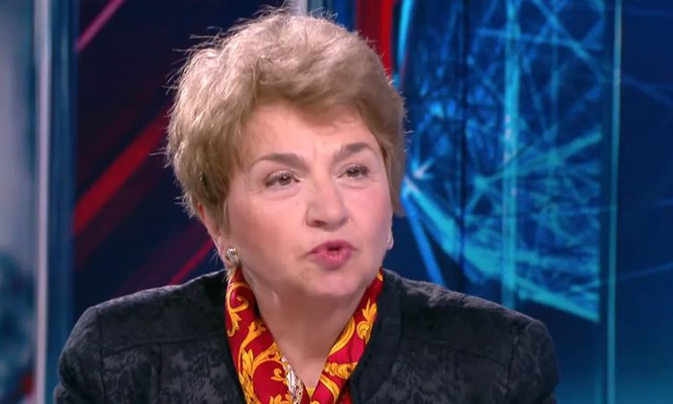 Меглена Плугчиева: Ако имаме удължителен бюджет, сътресенията може да са големи