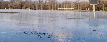 Слънчево време в най-романтичния ден от годината