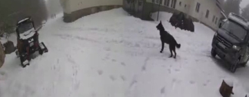 Къде е Ники Златков? Той не се качва в кемпера на Калушев на Петрохан