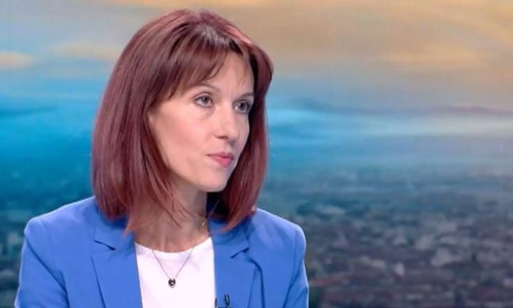 Камелия Нейкова: Цицелков трябва да напусне и Обществения съвет към ЦИК