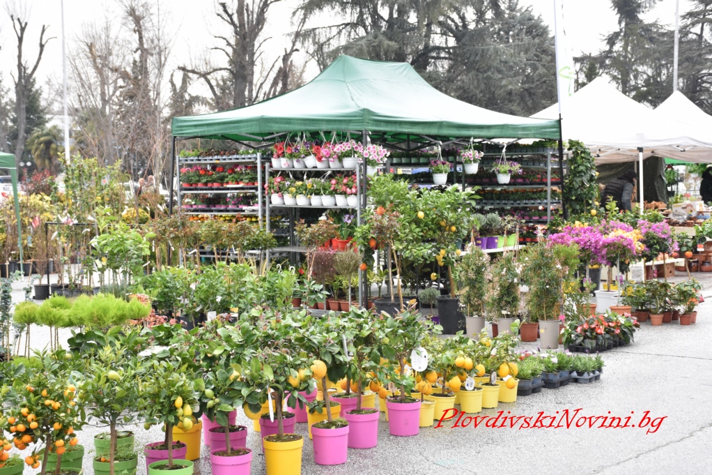 България остава лидер по отношение на трофейните качества на дивеча