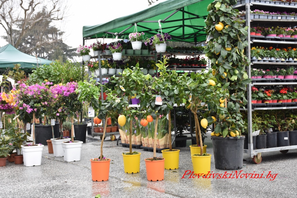 България остава лидер по отношение на трофейните качества на дивеча