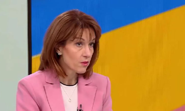 Нейкова: Заявленията за гласуване извън страната са двойно повече спрямо тези от предишните избори