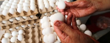 Яйцето от 60 стотинки скочи на 60 евроцента