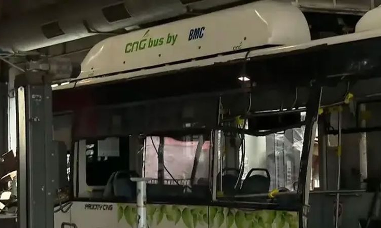Вижте щетите по автобуса от катастрофата на „Челопешко шосе“