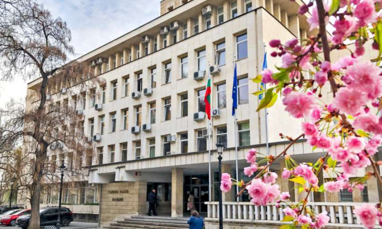 Екстрадират Дани Кики в Германия