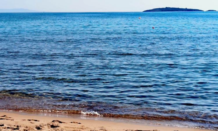 Министър Генов: Морската вода в България е сред най-чистите в Европа