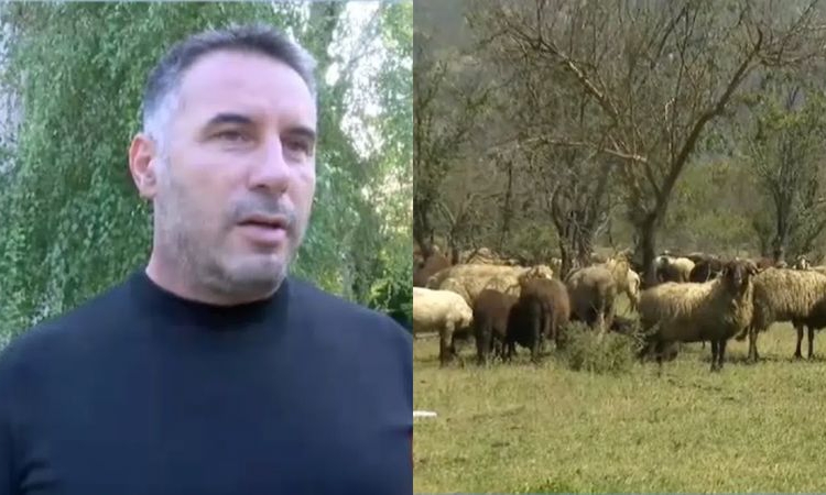 Ликвидирани са животните от огнището с шарка в Павел баня