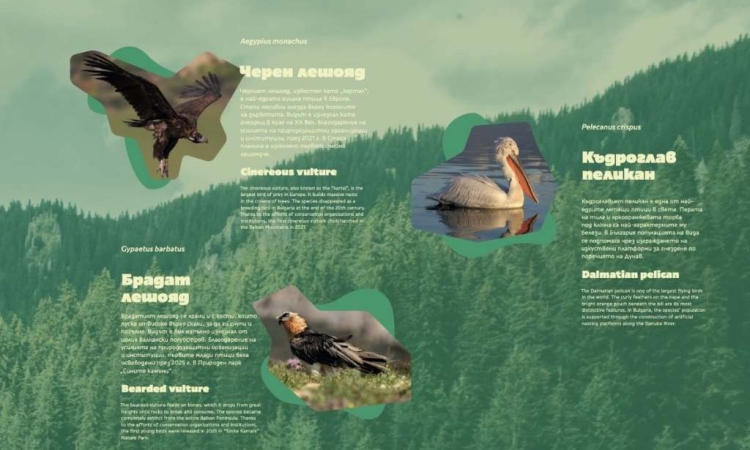 В Пловдив се открива изложбата „Уязвимите“