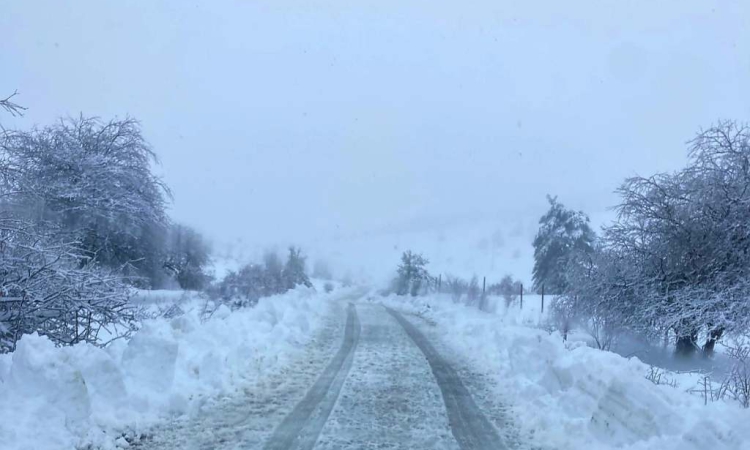 Облачно и мъгливо в петък