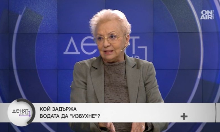 PR експерт: За цената на тока и водата са виновни всички управления