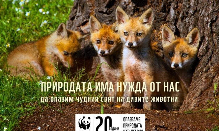 Природата има нужда от нас – юбилейна кампания на WWF ни призовава да я пазим 