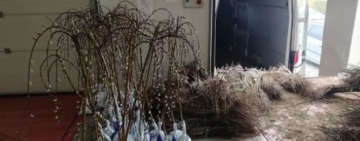 Спряха вноса на хиляди овошки и лози с неясен произход