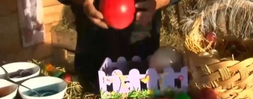 Боядисаха великденски яйца от над 40 вида птици