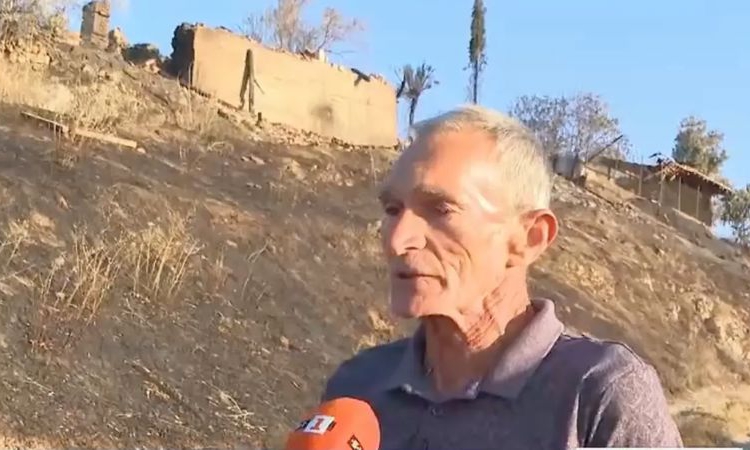 Умишлен палеж унищожи ферма със 150 животни в село Мендово, щетите са за над 30 000 евро