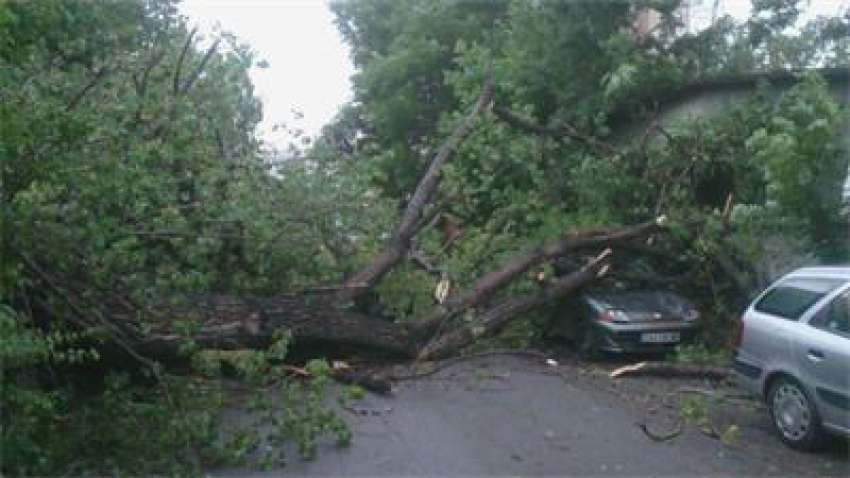 Десетки сигнали и след ураганния вятър в Пловдив