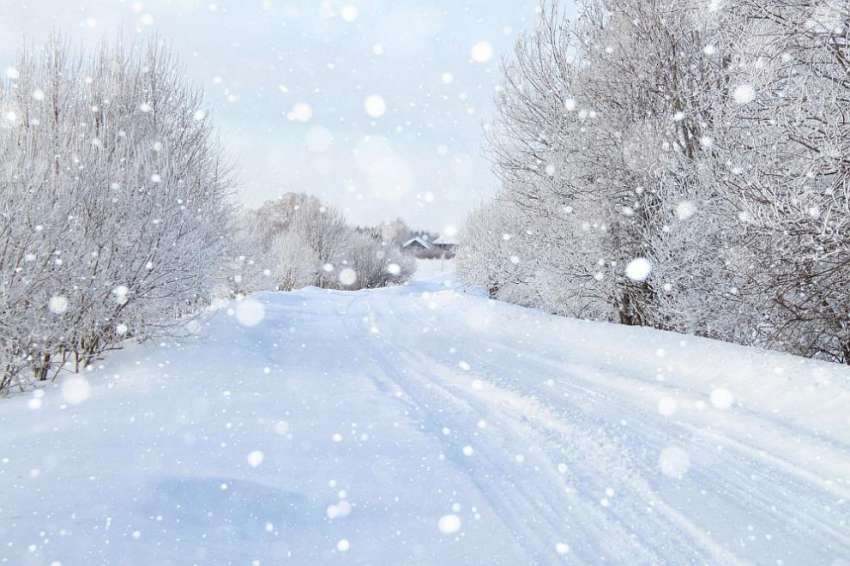 АПИ: Тръгвайте на път с автомобили подготвени за зимни условия