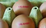 БАБХ: Яйцата, внесени от Украйна, са безопасни