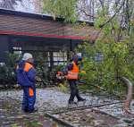 Екипи на ОП „Градини и паркове” работят по отстраняване на над 40 сигнала за паднали дървета и клони