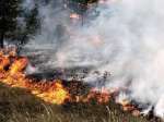 Огънят в Александруполис: Намериха 18 мъртви тела