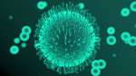 СЗО отчете траен спад в новите случаи и жертвите на коронавируса